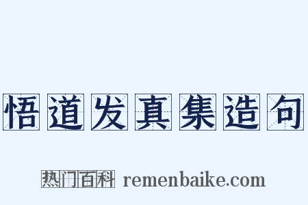 悟道发真集造句是什么意思的图片